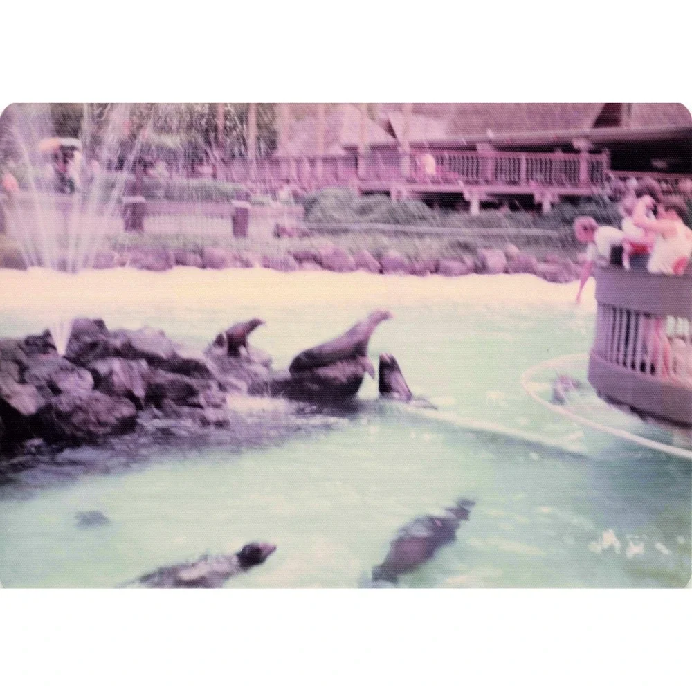 Vintage 1970s Sea Life Park Hawaii Dolphin Show Tall Ship Photo Lot of 17 - Picture 4 of 16